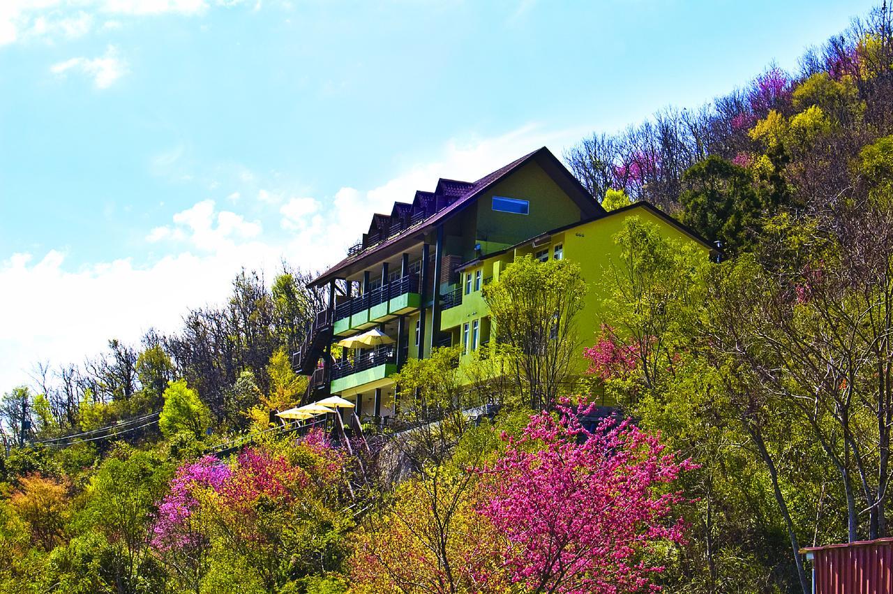 Sunnydale B&B Renai Dış mekan fotoğraf