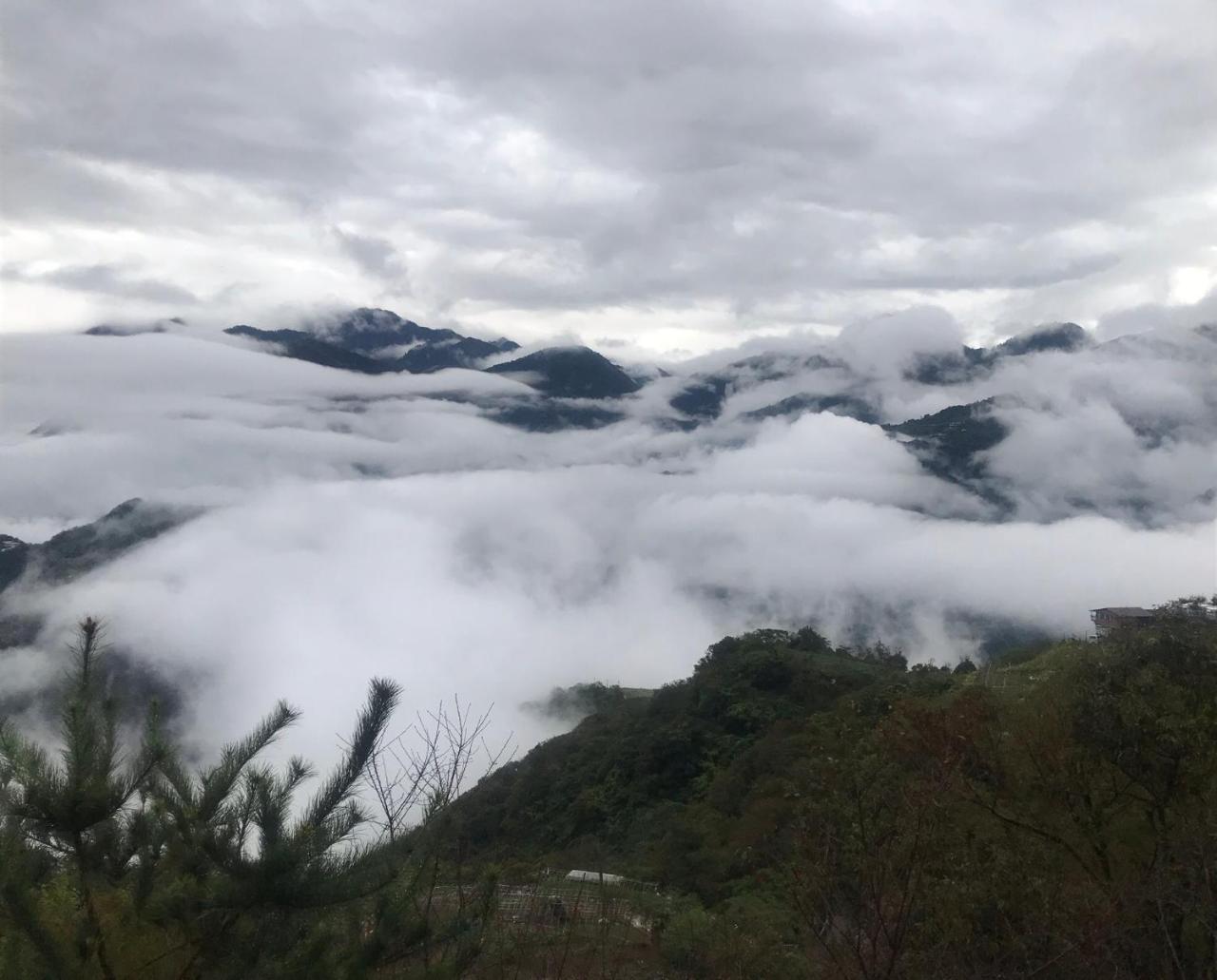 Sunnydale B&B Renai Dış mekan fotoğraf