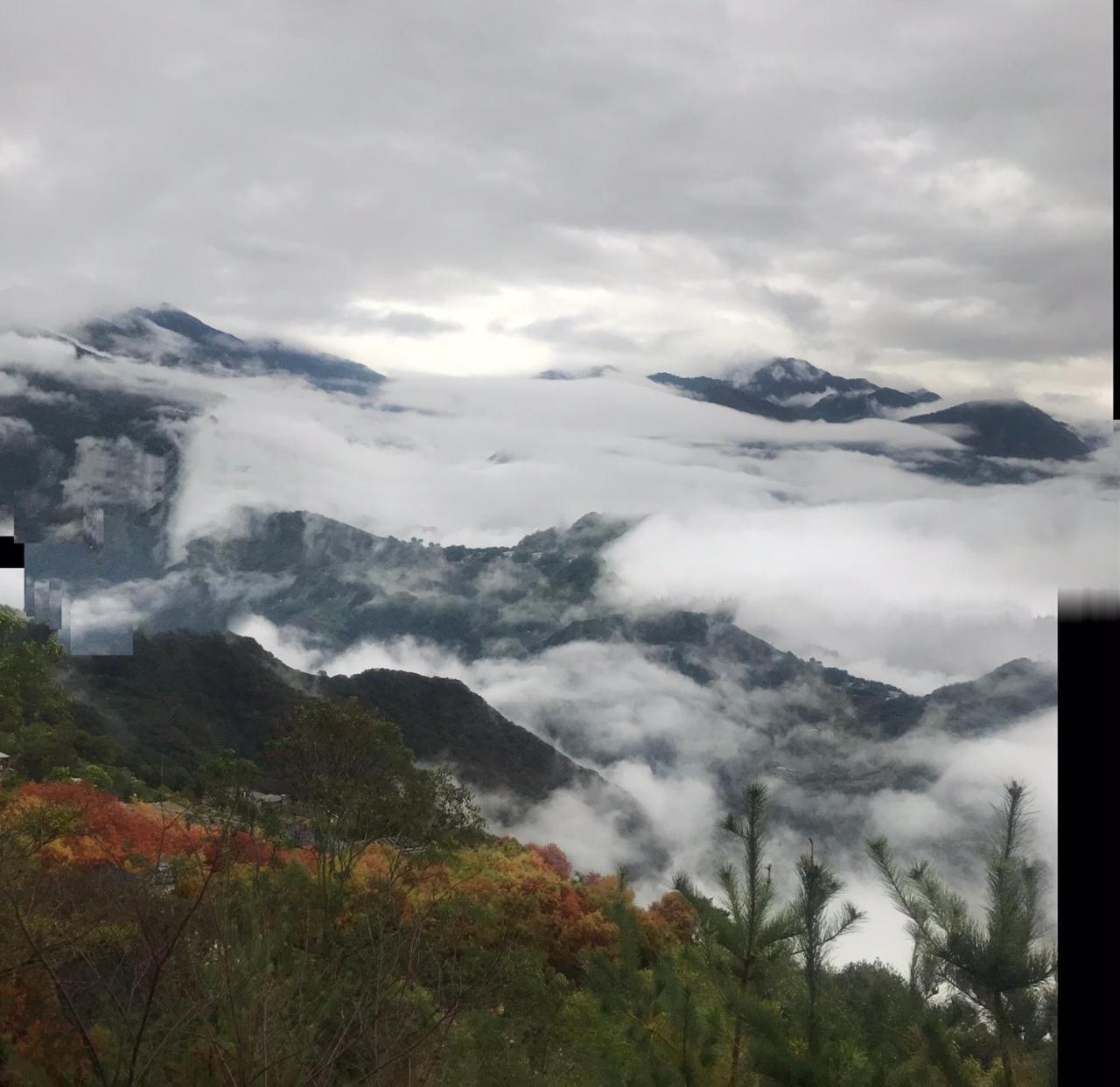Sunnydale B&B Renai Dış mekan fotoğraf
